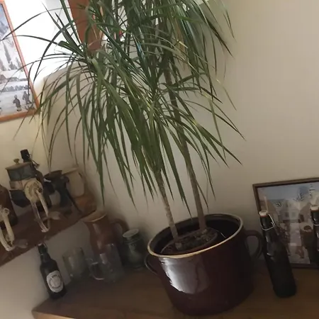 Hrusicka Restaurace A S Klimatizaci A Parkovistem Pro Motorky A Kola بيت ضيافة